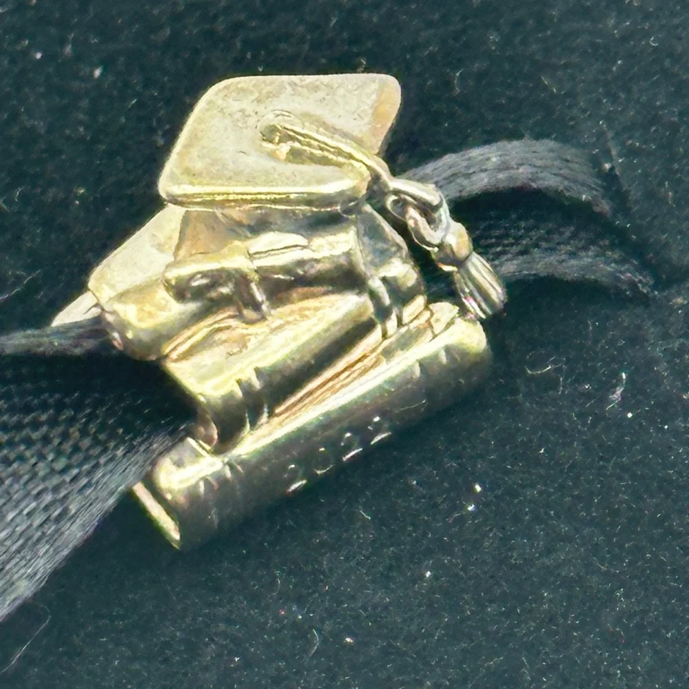 Pandora Charm 925 Sterling Silver – Classic Bead, New in Box - Picture 8 of 13